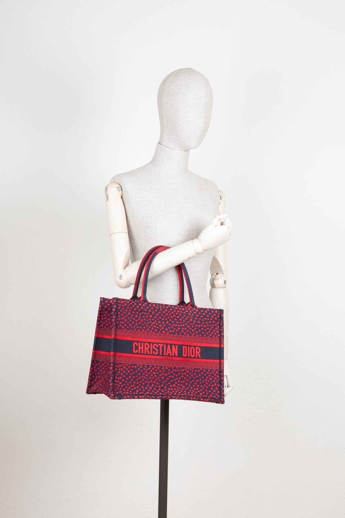 Dior Book Tote Canvas Tote Bag Rovelle Bags