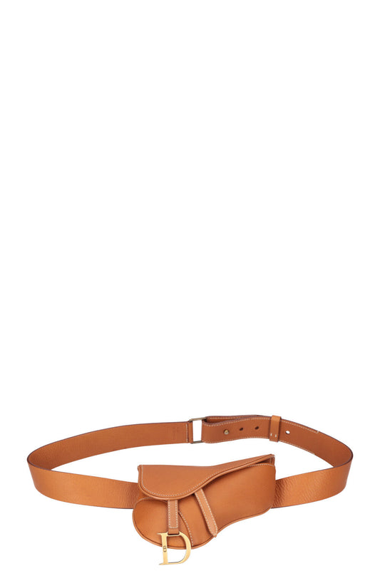 Christian Dior 2003 Saddle Belt Bag Rovelle Bags