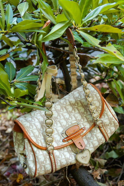 Dior Designer Shoulder Bag Rovelle Bags