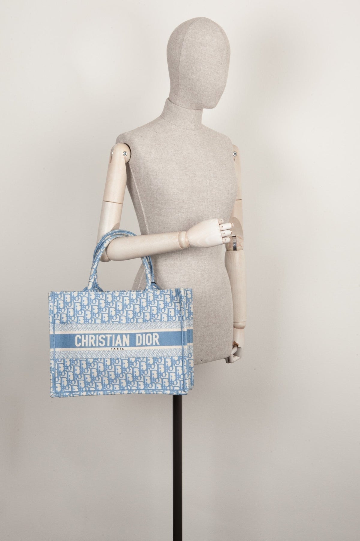 Dior Book Tote Mini Canvas Tote Bag Rovelle Bags