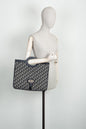 Dior Mini Canvas Tote Bag Rovelle Bags