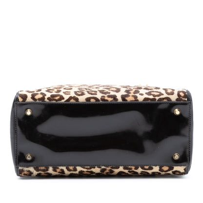 Brown Dior Medium Pony Hair Leopard Print Lady Dior Satchel Rovelle Bags