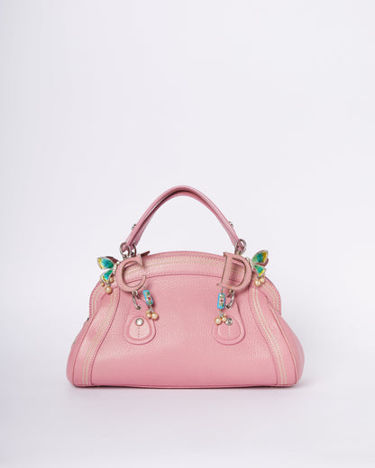 Dior Limited Edition Butterfly Detective Bag Rovelle Bags