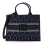 Christian Dior Canvas Calfskin Embroided Medium Miss Dior All Over Book Tote Denim Multicolor Rovelle Bags