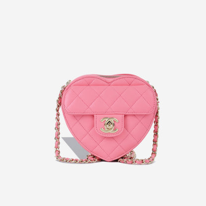 Chanel Luxury Lambskin Gold Handbag Style 15 Rovelle Bags