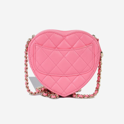Chanel Luxury Lambskin Gold Handbag Style 15 Rovelle Bags