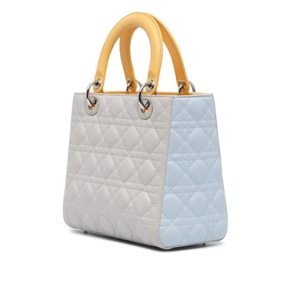 Dior Lady Dior Quilted Leather Handbag Rovelle Bags