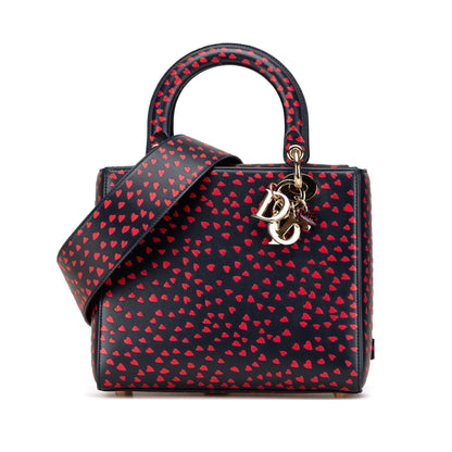 Dior Lady Dior Leather Handbag Rovelle Bags