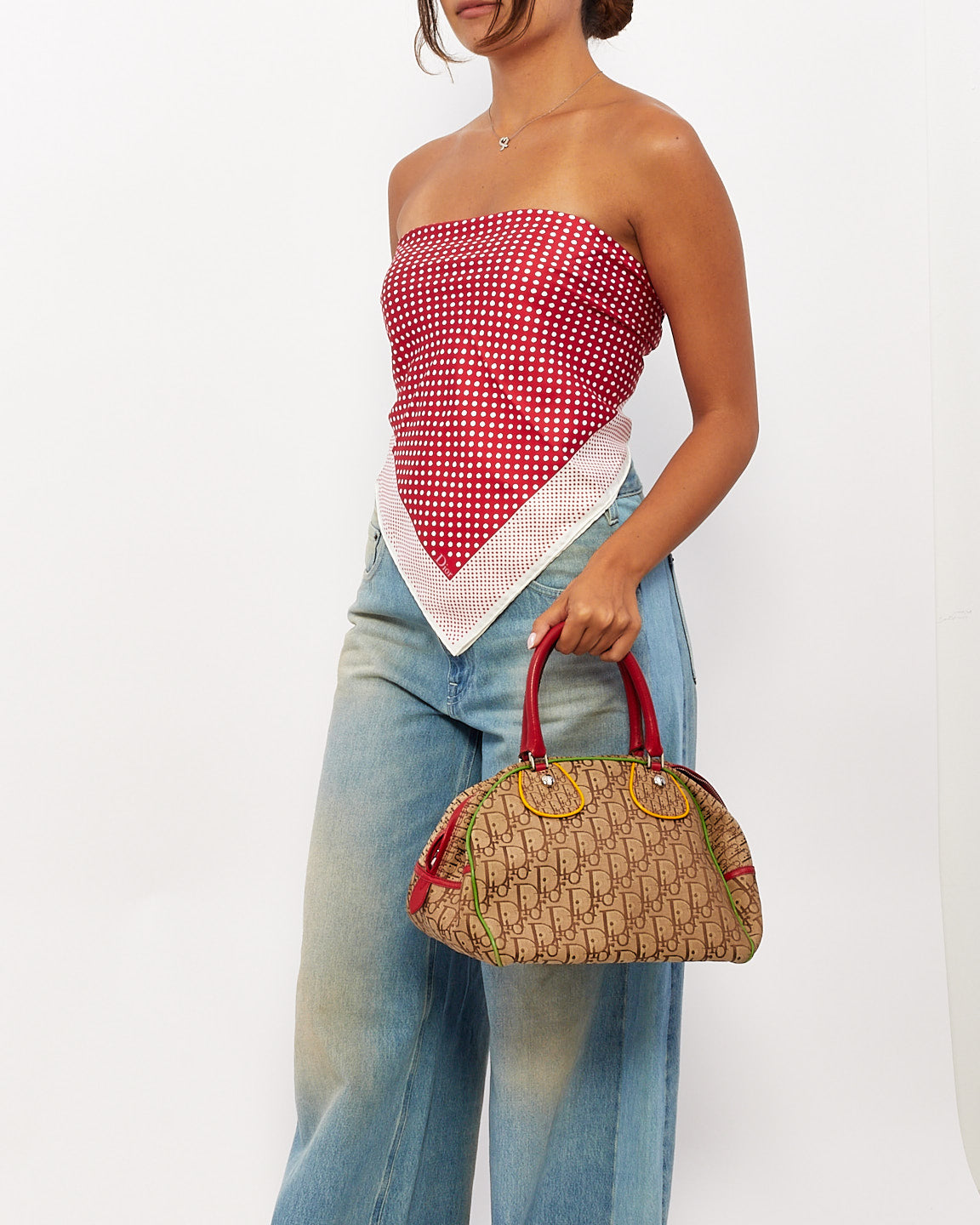 Dior Monogram Canvas Handbag Rovelle Bags