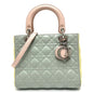 Dior Handbag leather blue x yellow x pink Canage Lady Dior Women Rovelle Bags