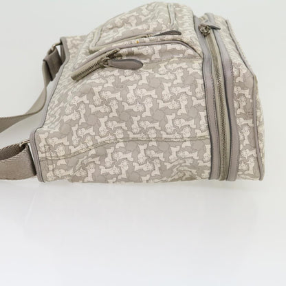 Luxury CELINE Salky Pattern Shoulder Bag Ai Tominaga PVC Leather Gray ac919
