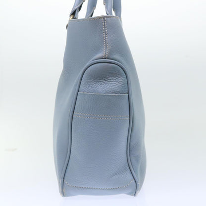Luxury CELINE Boogie Bag Hand Bag Leather Blue ar10054B