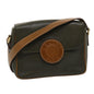 Luxury CELINE Shoulder Bag Leather Gray Brown ar6880