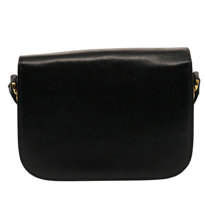 Luxury CELINE Horse Carriage Shoulder Bag Leather Black 14806