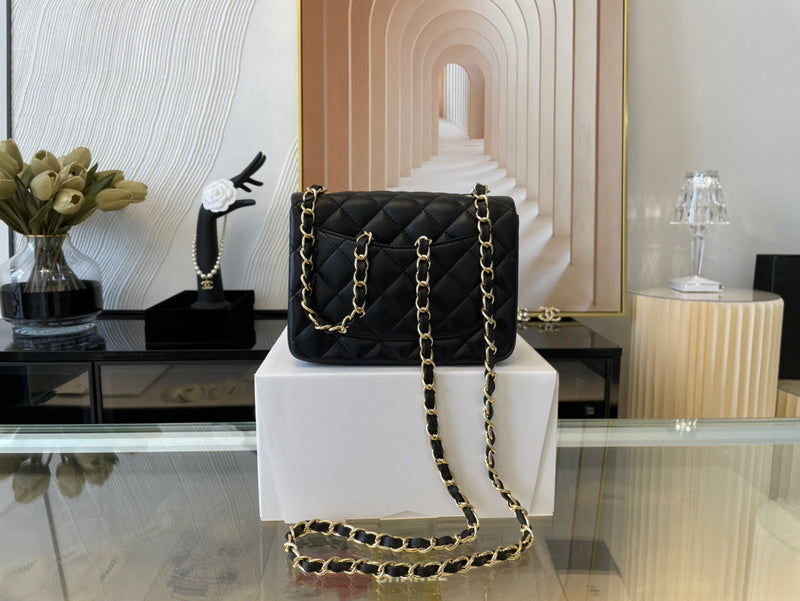 Chanel Luxury Handbag Style 451 Rovelle Bags