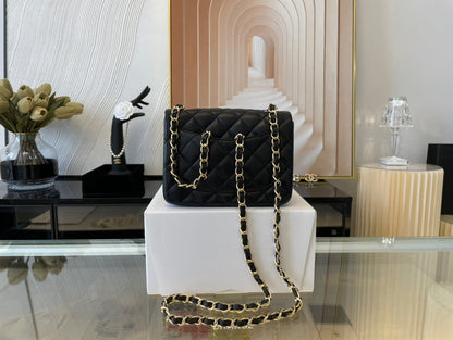 Chanel Luxury Handbag Style 451 Rovelle Bags