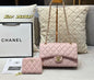2023 New Luxury CC  Handbag