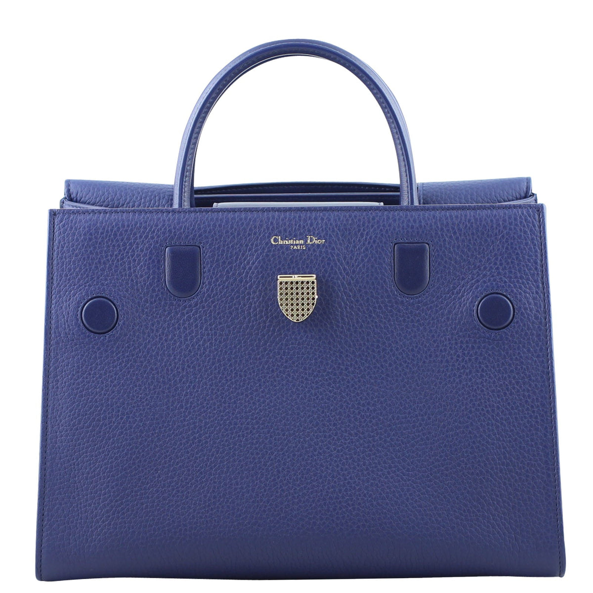Dior Luxury Leather Handbag Rovelle Bags