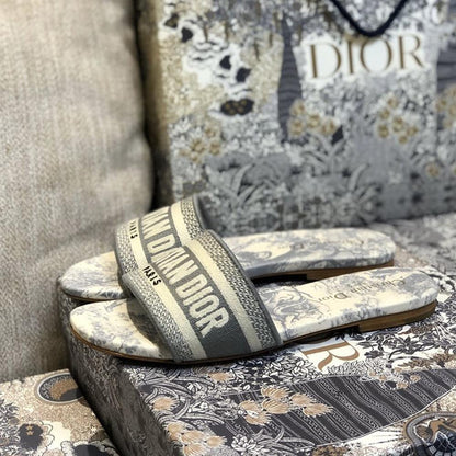 Dior Dway Slides Timeless Style Gray