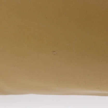 Luxury CELINE Shoulder Bag Leather Beige ep1109