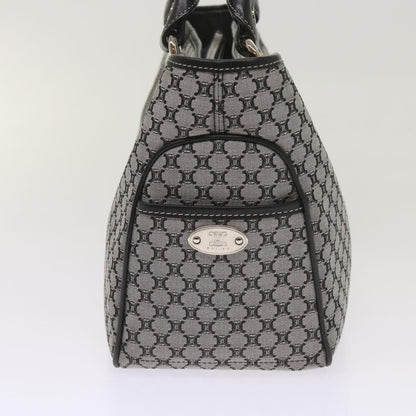 Luxury CELINE Macadam Canvas Hand Bag Gray ep3314