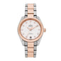 Stainless Steel 18K Sedna Gold Diamond 34mm Seamaster Aqua Terra Co-Axial Automatic Watch Silver 220.20.34.20.52.001