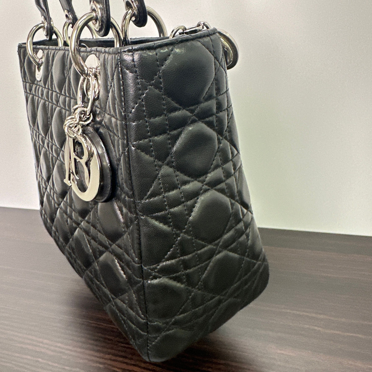 Dior Luxury Leather Handbag Style 22 Rovelle Bags