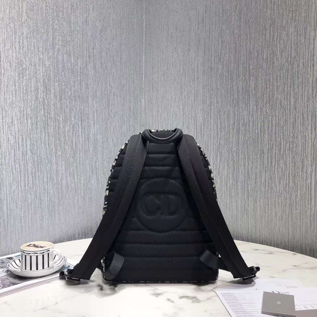 Dior Luxury Leather Backpack Rovelle Bags