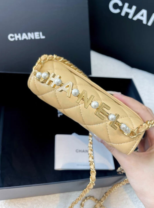 Chanel Luxury Leather Handbag Style 10 Rovelle Bags