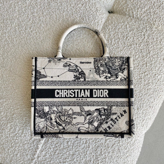 Christian Dior Book Tote Bag