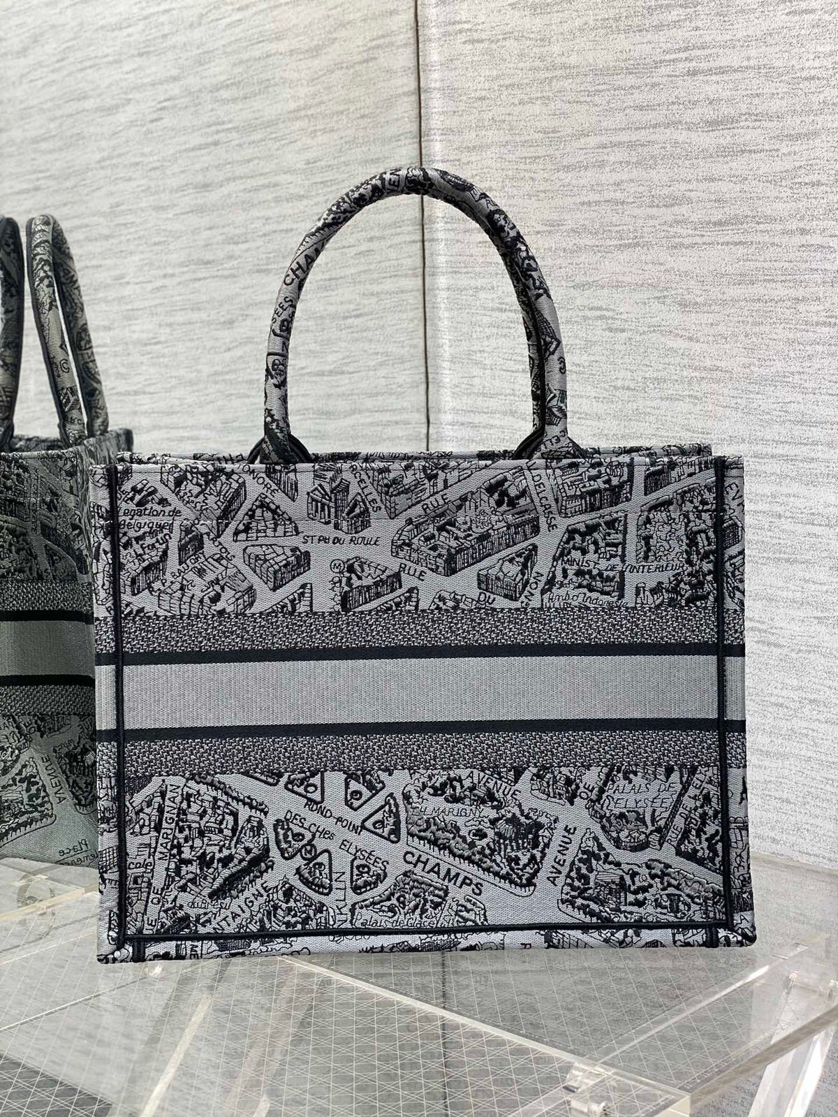 Christian Dior Book Tote Bag