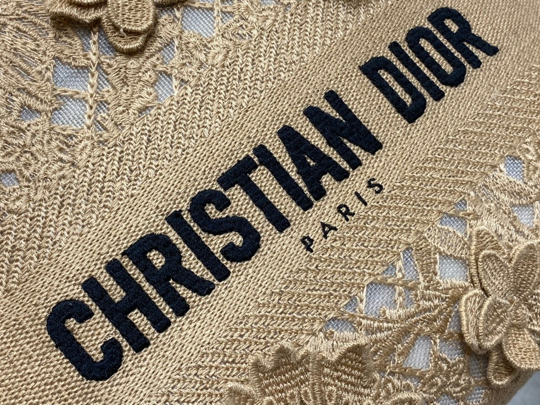 Christian Dior Medium Lady D-Lite Bag