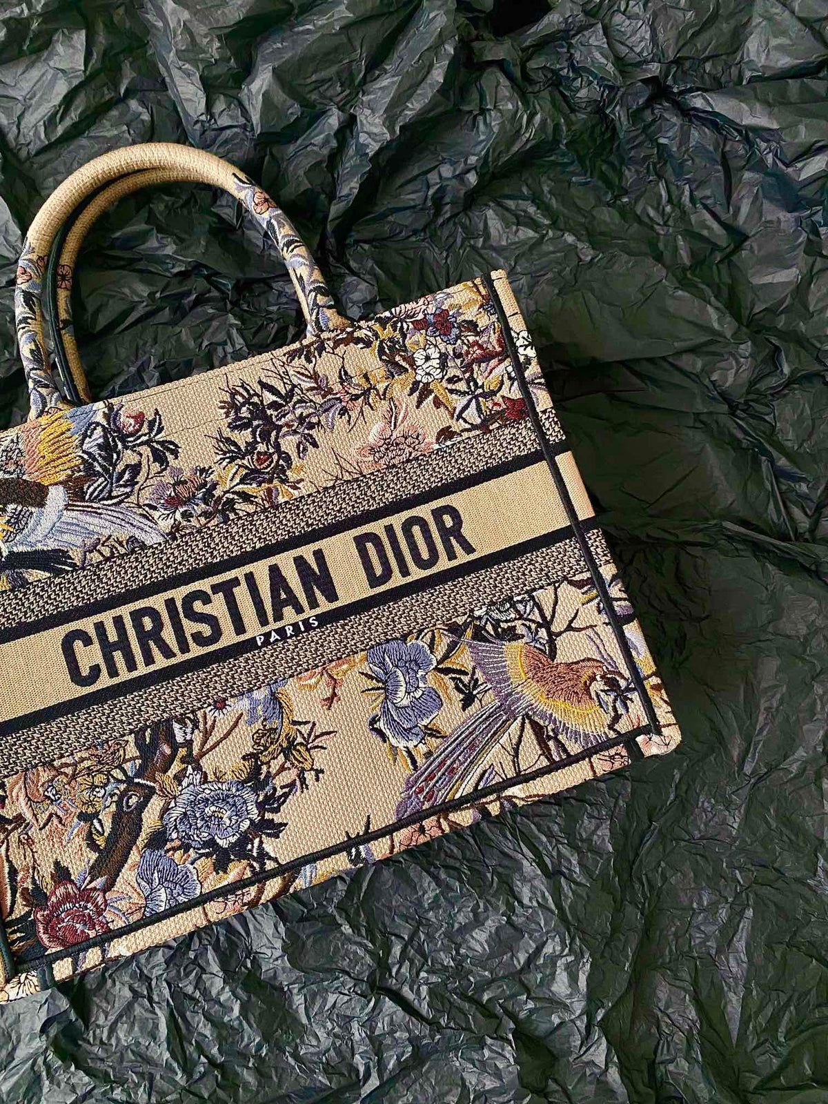 Christian Dior Book Tote Bag