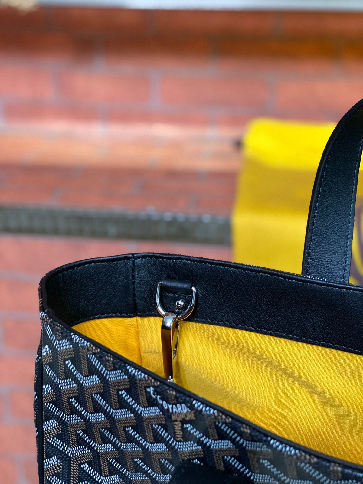 Goyard Voltaire Bag