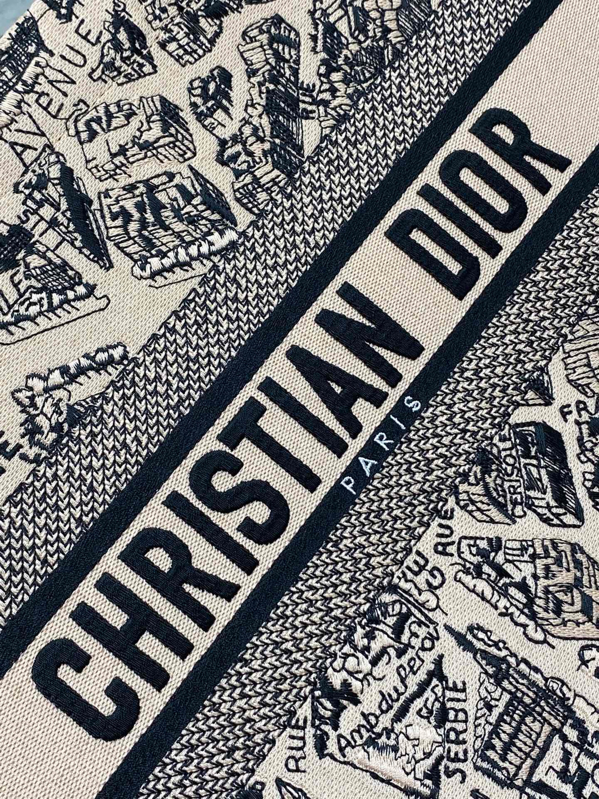 Christian Dior Book Tote Bag