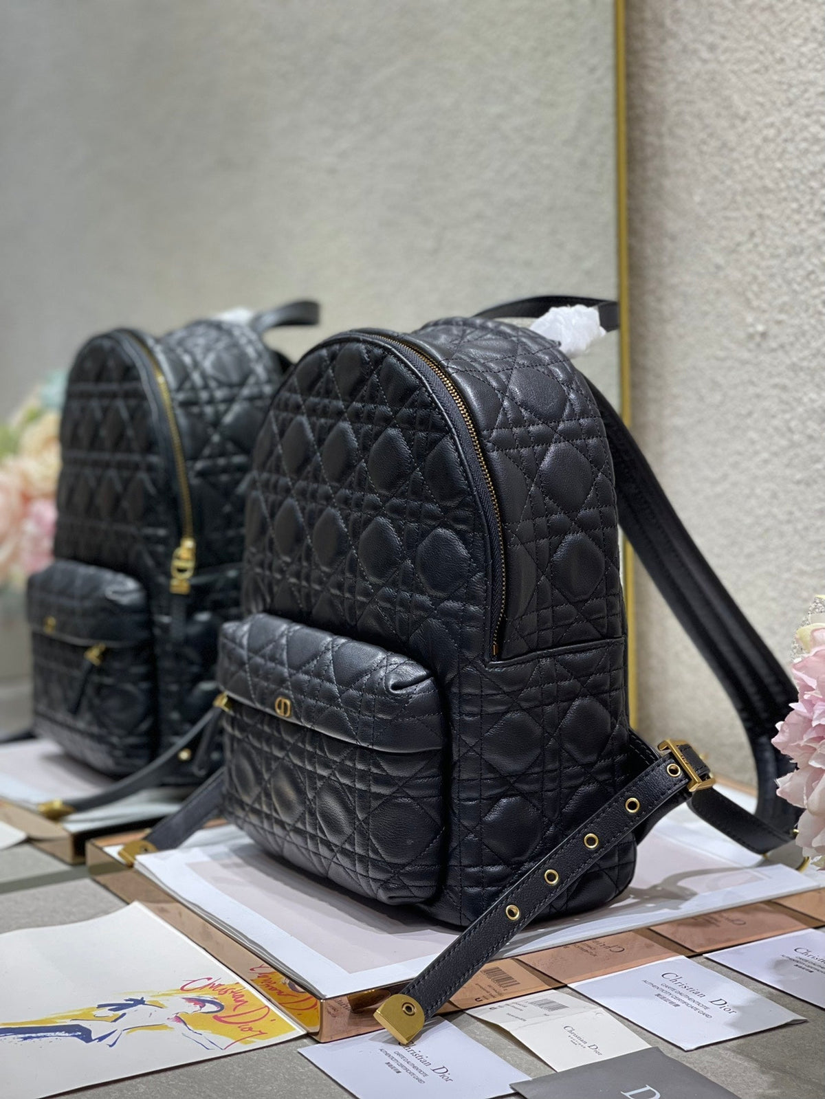 Christian Dior   Backpack