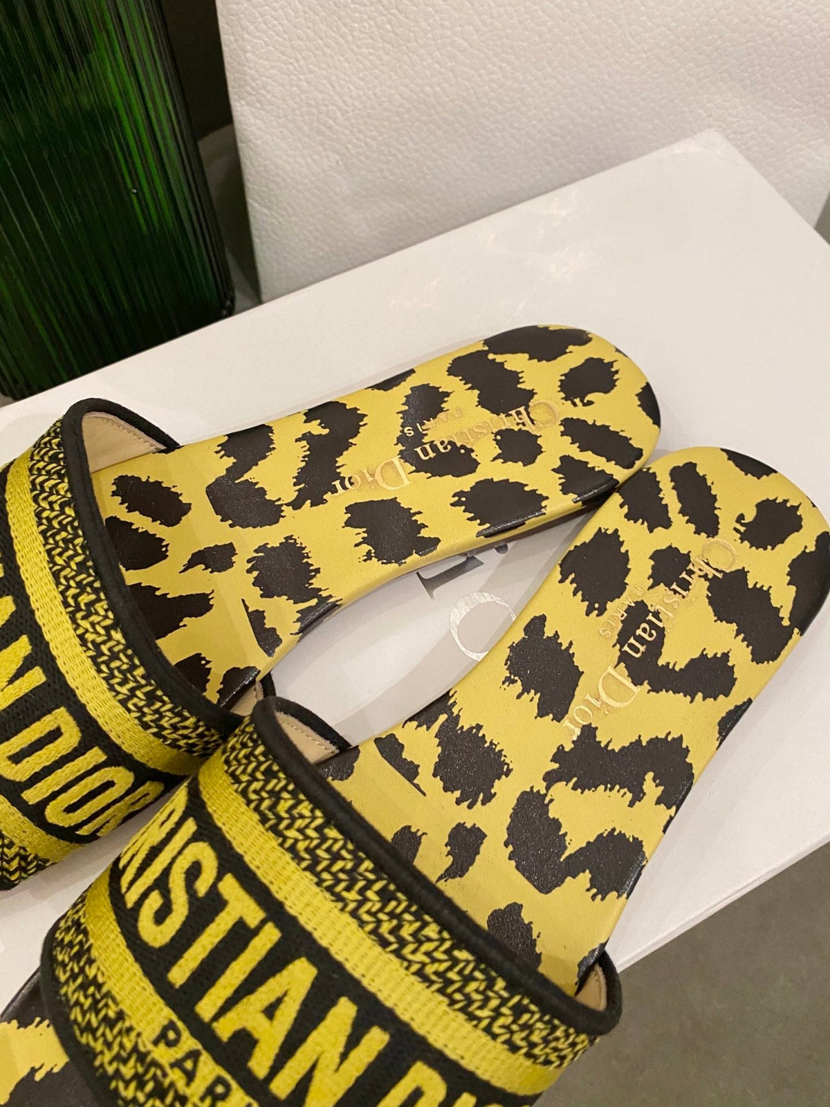 Christian Dior Dway Slide