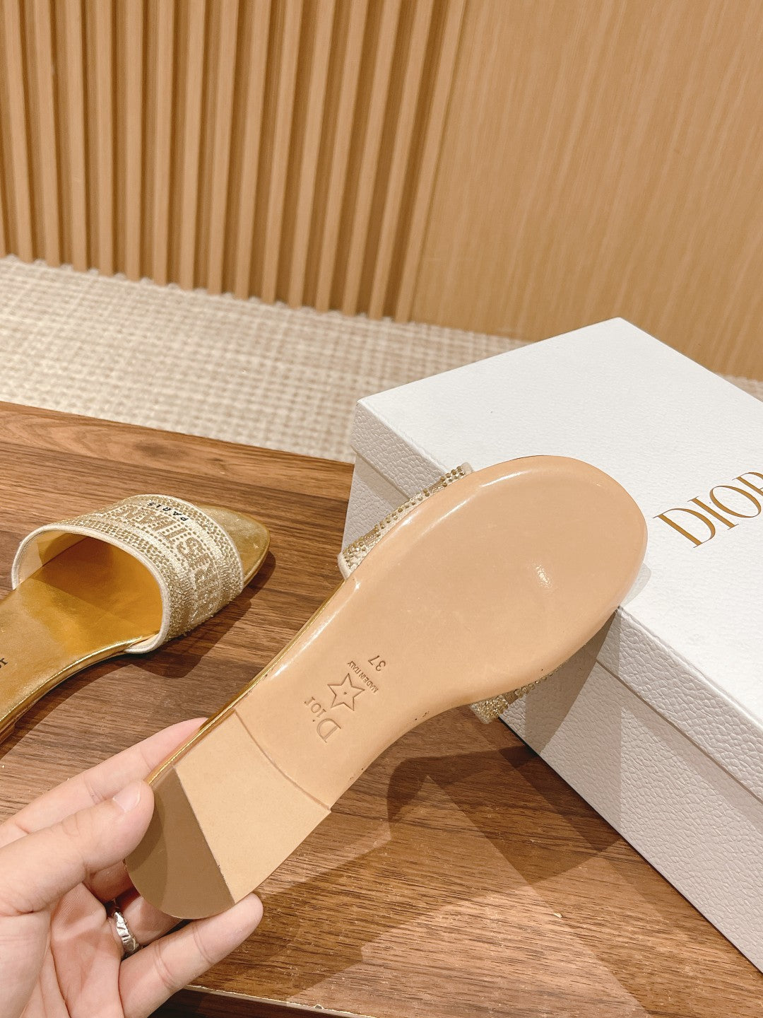 Christian Dior Dway Slide