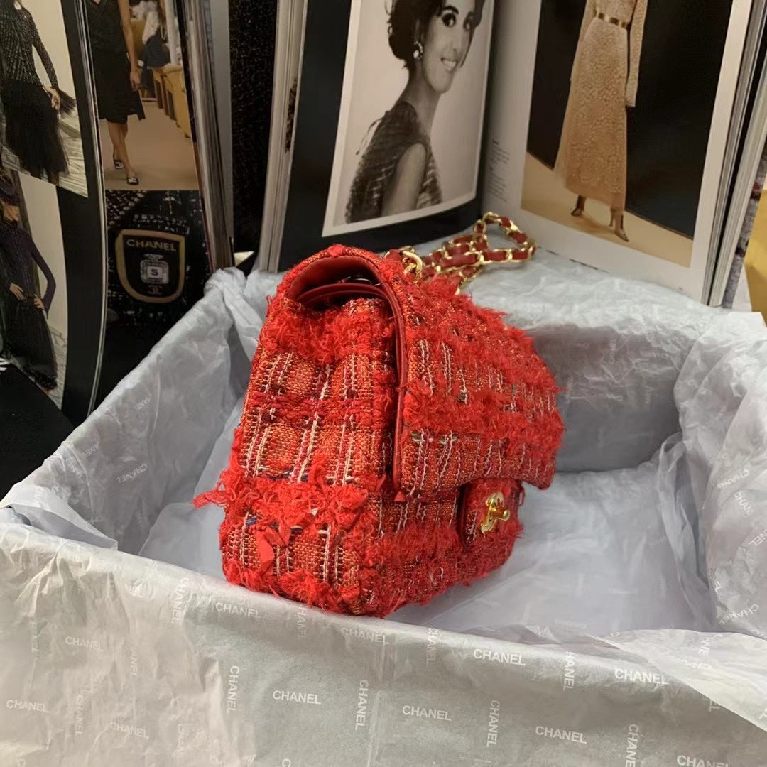 Chanel Double flap Bag