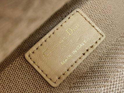 Christian Dior Medium Lady D-Lite Bag