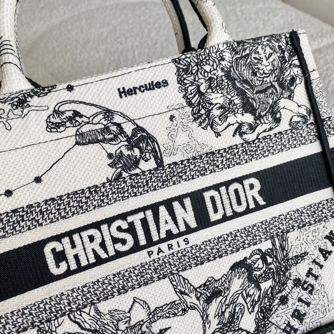 Christian Dior Book Tote Bag