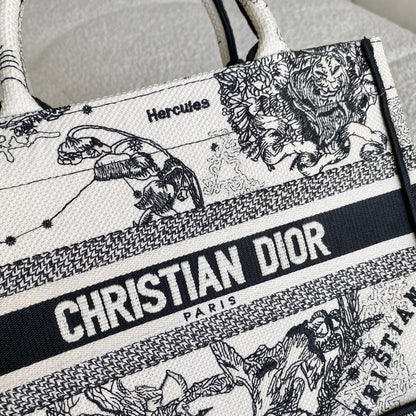 Christian Dior Book Tote Bag