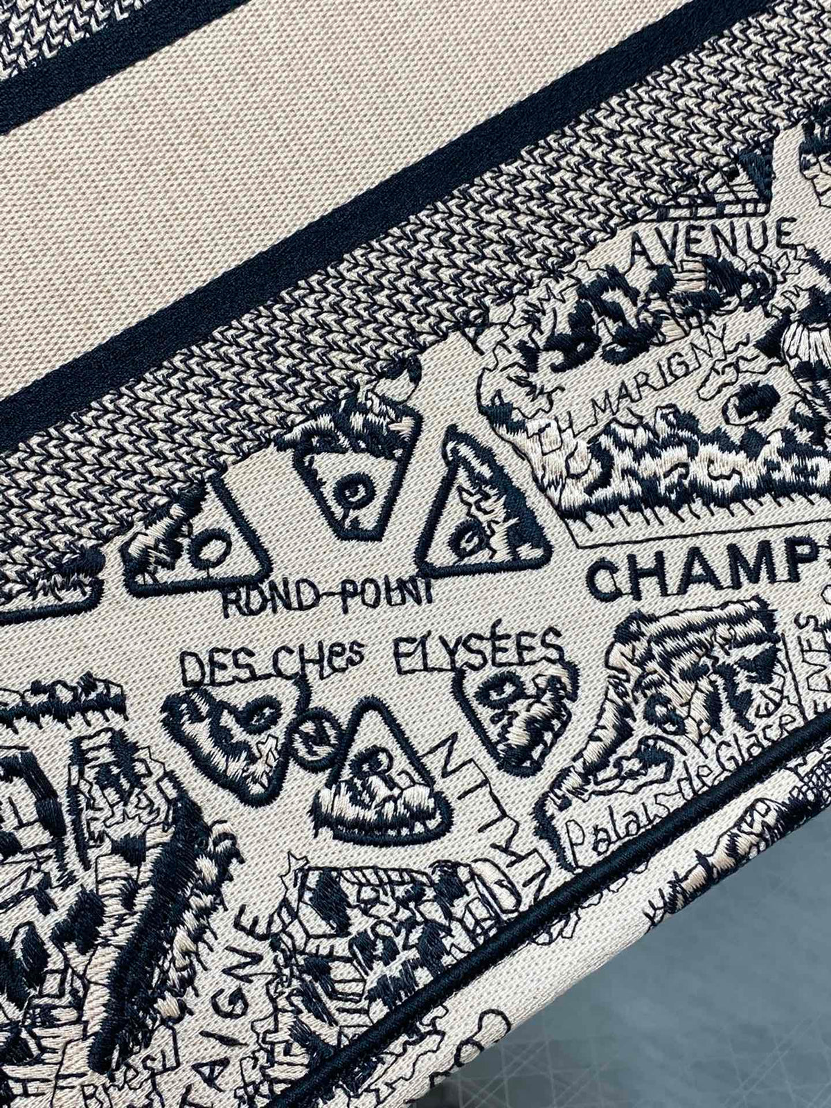 Christian Dior Book Tote Bag