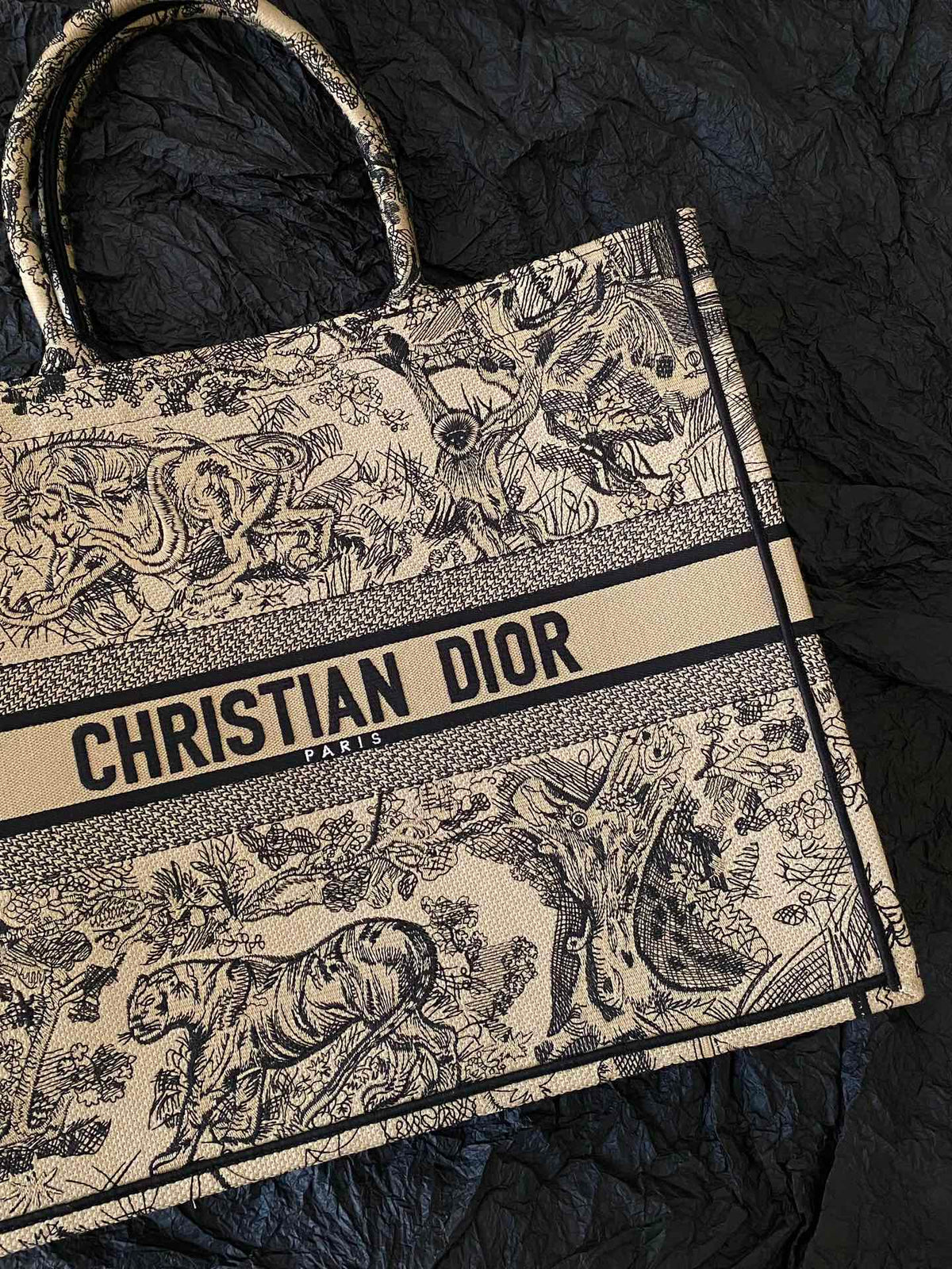 Christian Dior Book Tote Bag