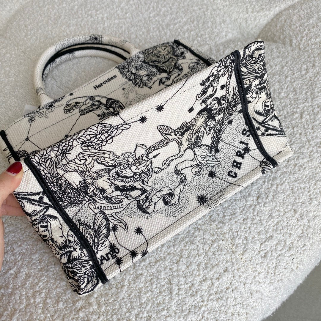 Christian Dior Book Tote Bag
