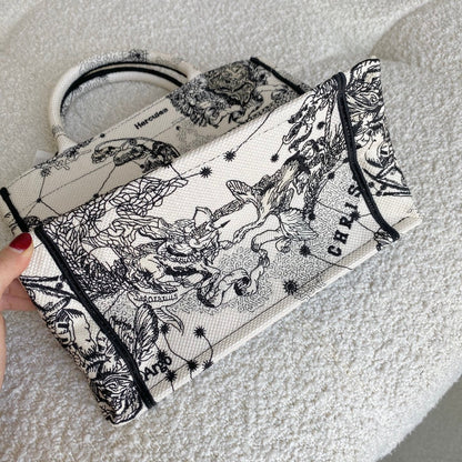Christian Dior Book Tote Bag
