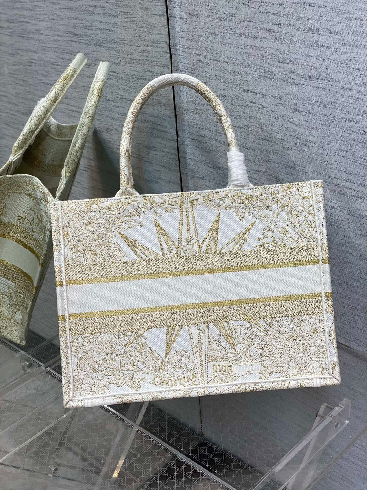 Christian Dior Book Tote Bag
