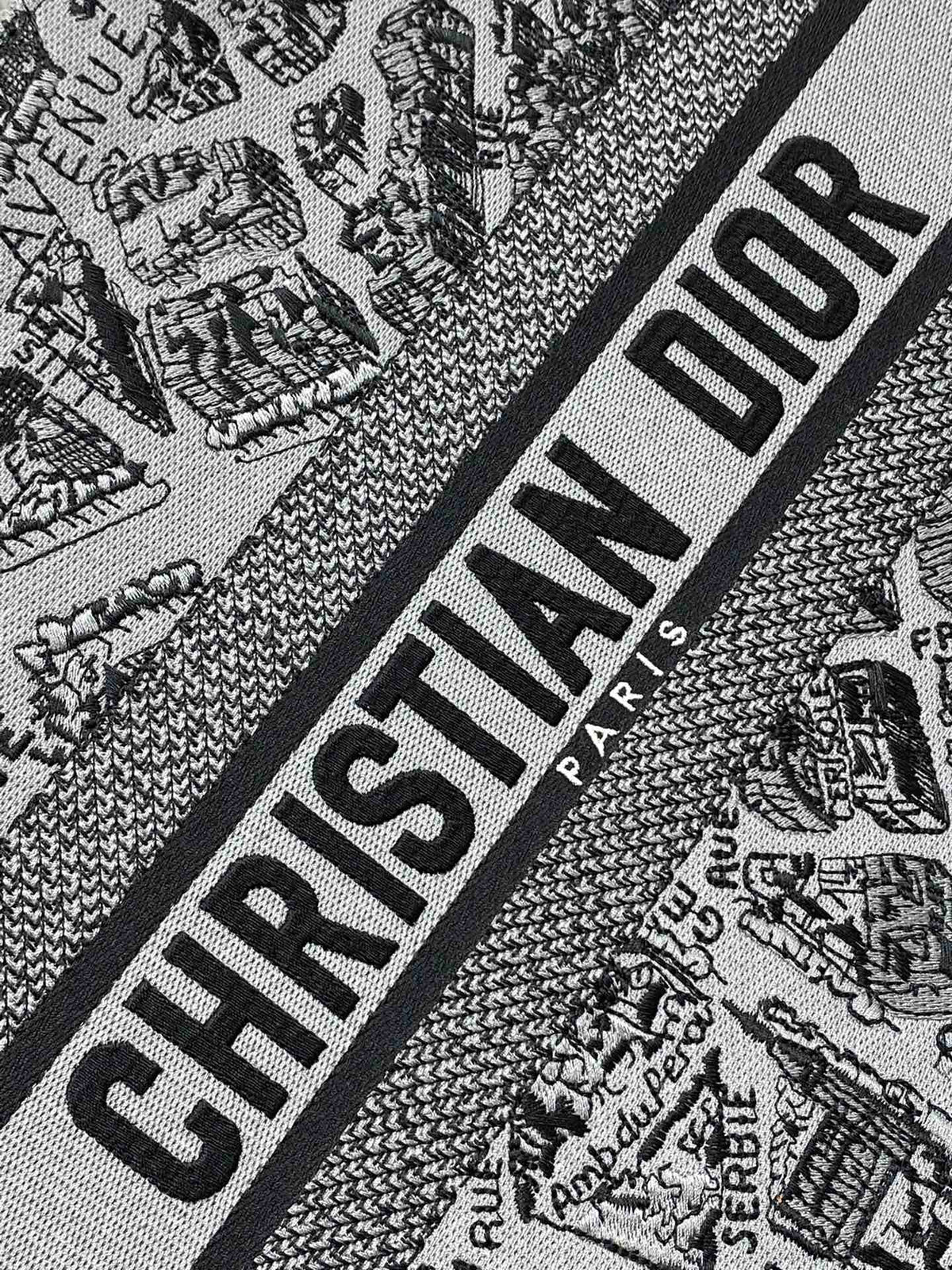 Christian Dior Book Tote Bag