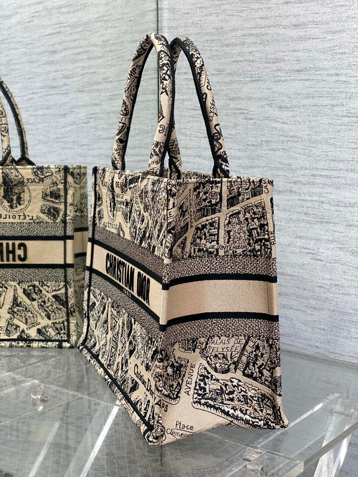 Christian Dior Book Tote Bag