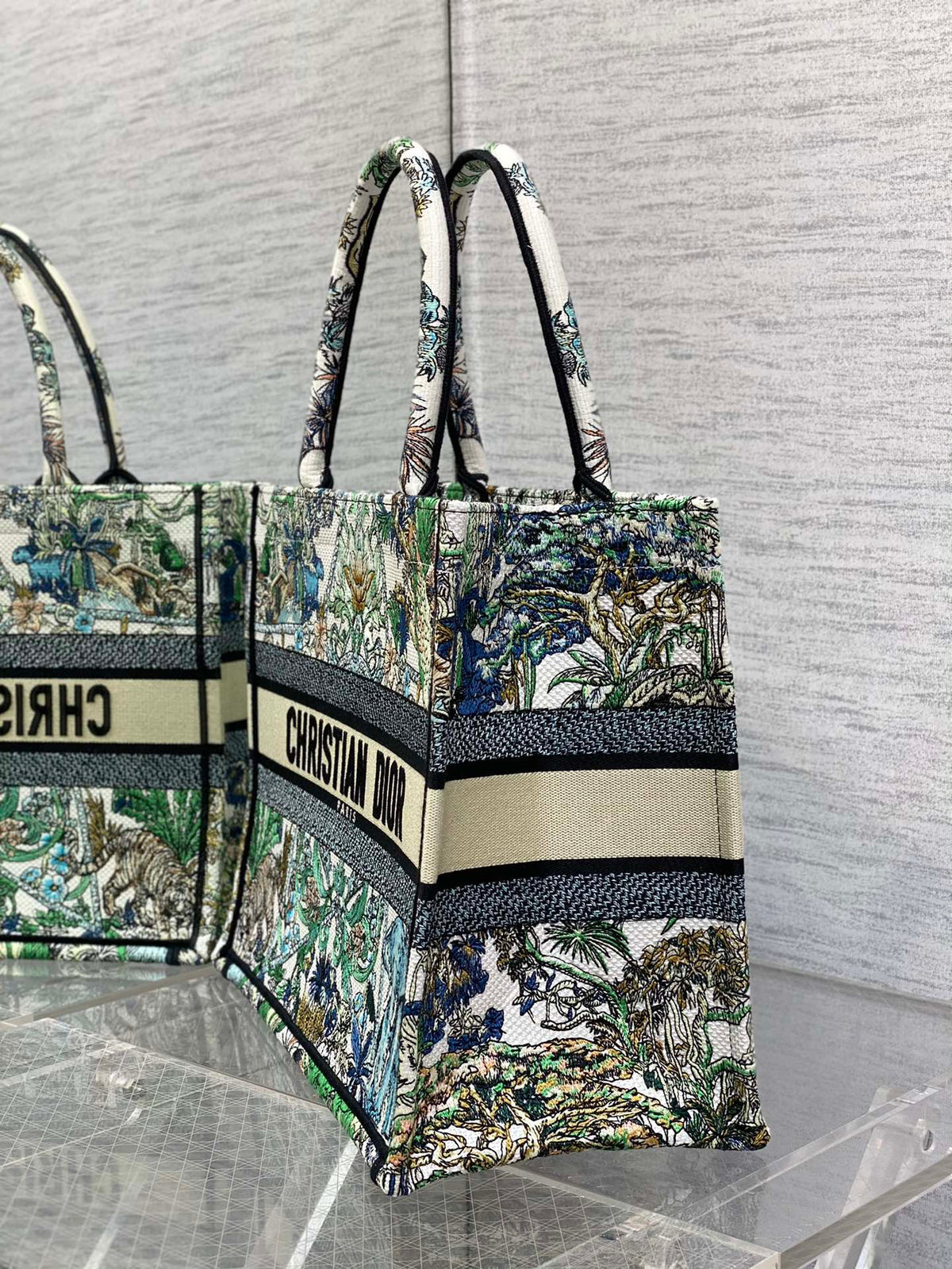 Christian Dior Book Tote Bag